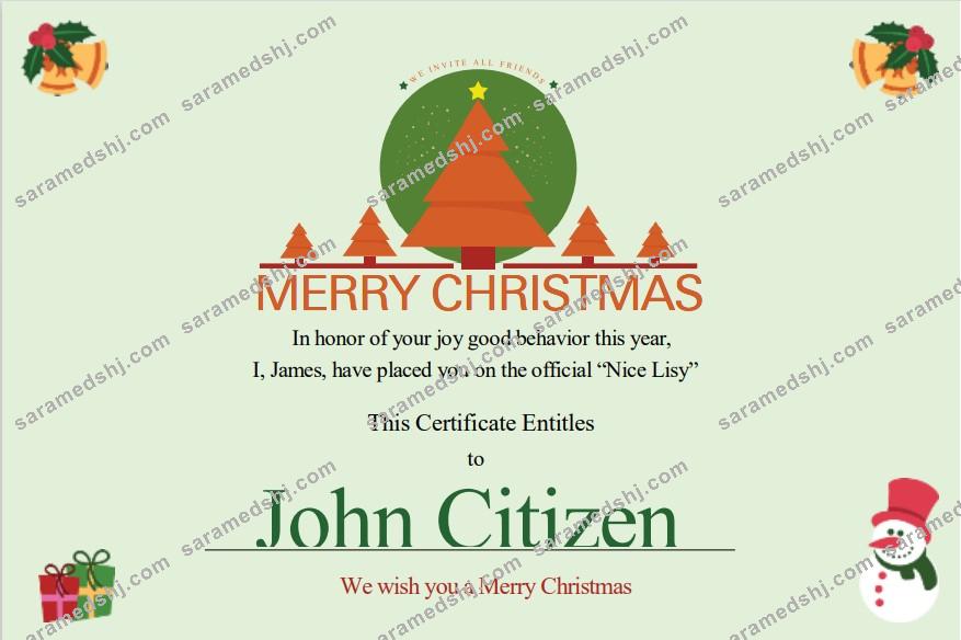 USA Christmas Gift cert